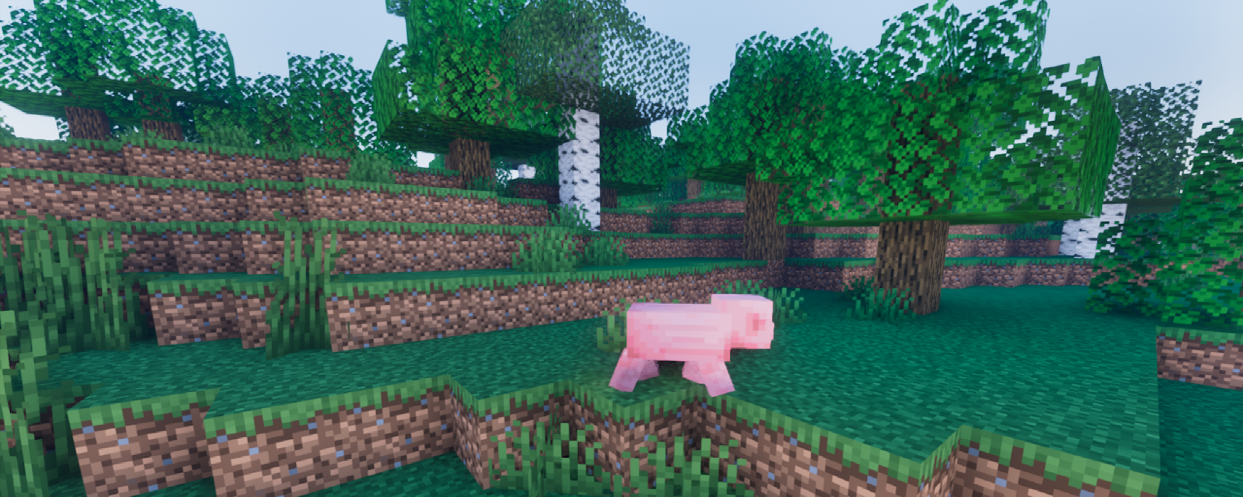 minigame survival